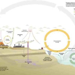 Analyzing graphics the carbon cycle