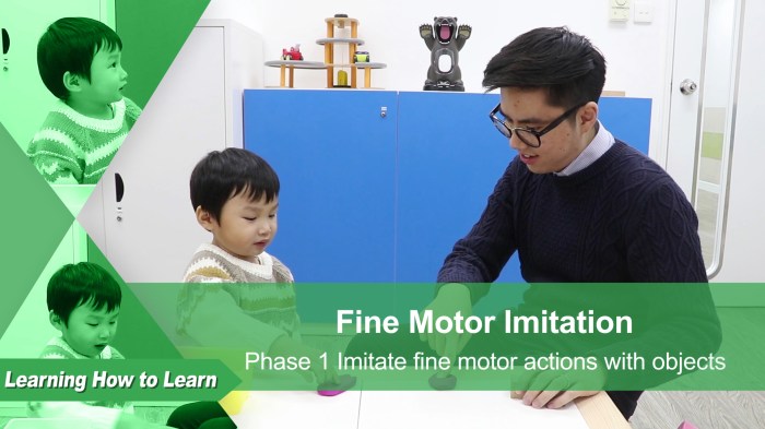 Fine motor imitation targets aba