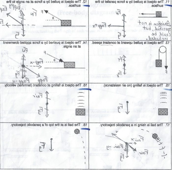 Free body diagrams worksheet physics