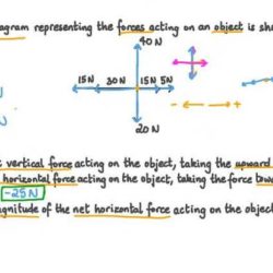 Free body diagrams worksheet physics