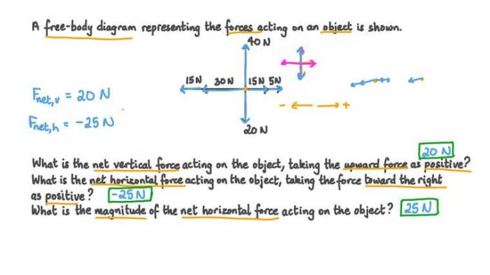 Free body diagrams worksheet physics