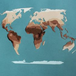 Human skin color evidence for selection answer key