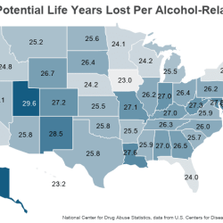 The average alcohol related fatality in florida costs