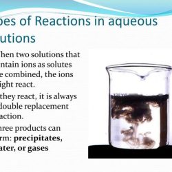 Reactions in aqueous solutions lab report sheet