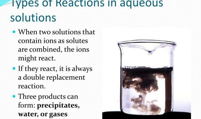 Reactions in aqueous solutions lab report sheet